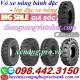 Lốp xe nâng vỏ đặc CASUMINA dùng cho xe nâng động cơ