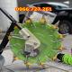 Máy gieo hạt ngô đậu lạc đẩy tay 12 răng 989