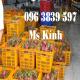 Sóng nhựa có quai sắt, sóng thanh long, sọt nhựa đựng trái cây giá rẻ - 096 3839 597 Ms Kính
